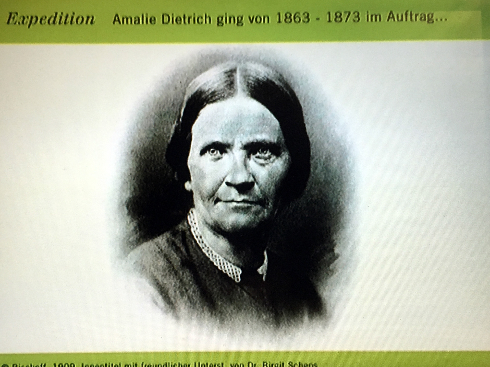 Reprografie Amalie Dietrich im Museum für Naturkunde, Berlin ©K. Schwahlen 2019