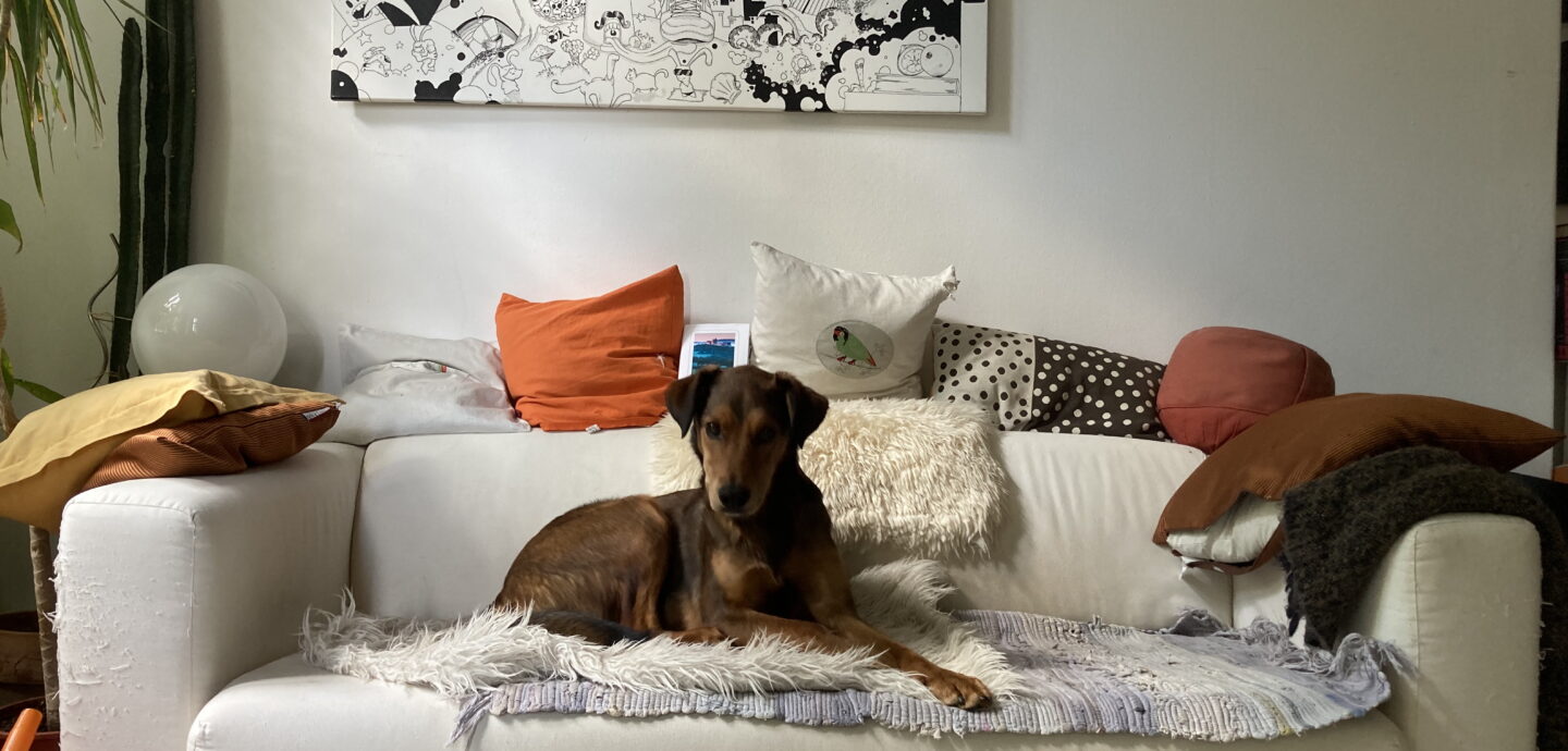 Wohnzimmer mit Hund auf Sofa vor Grafik von Pierre Arnold © Katrin Schwahlen 2024