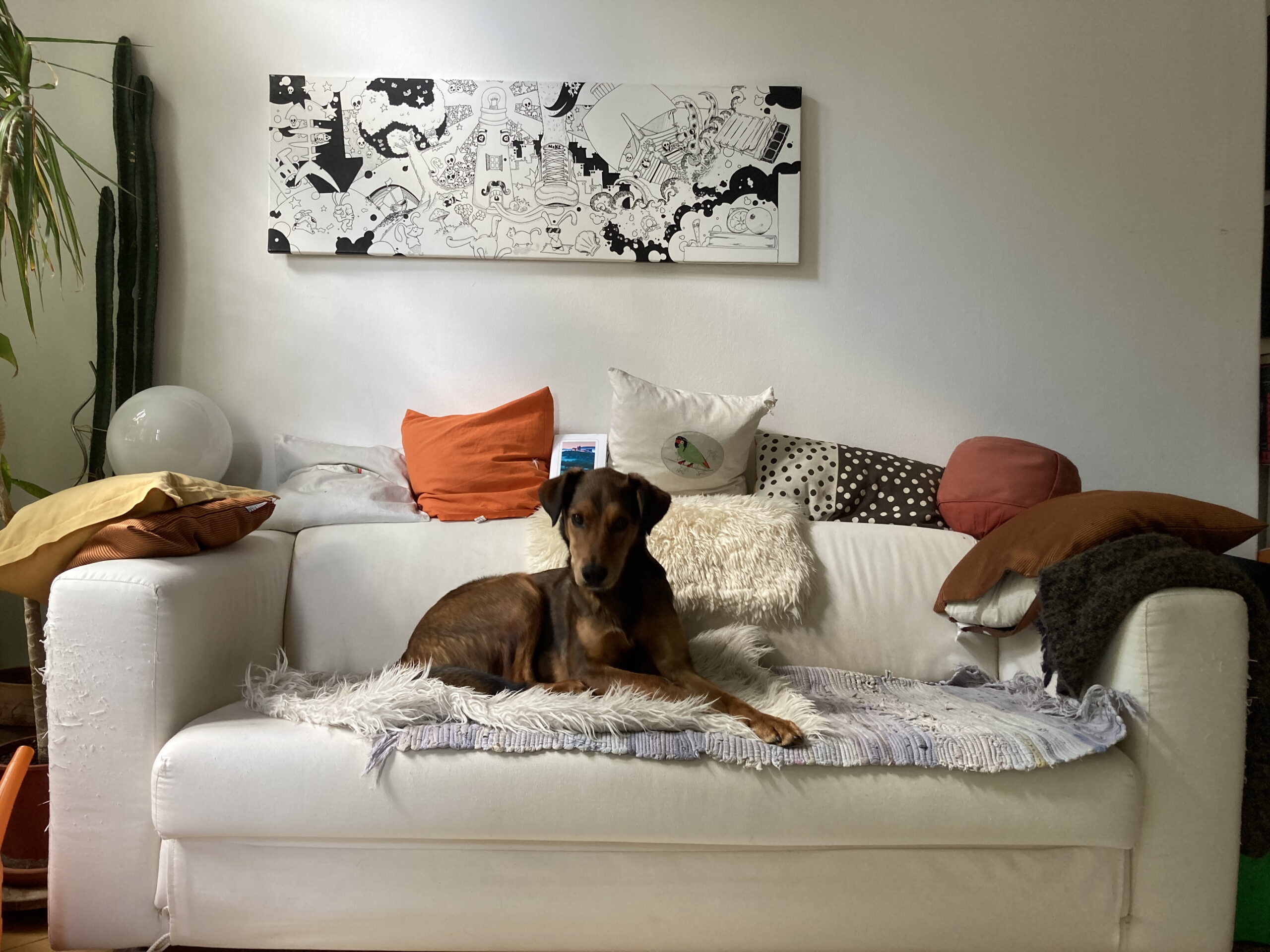 Wohnzimmer mit Hund auf Sofa vor Grafik von Pierre Arnold © Katrin Schwahlen 2024