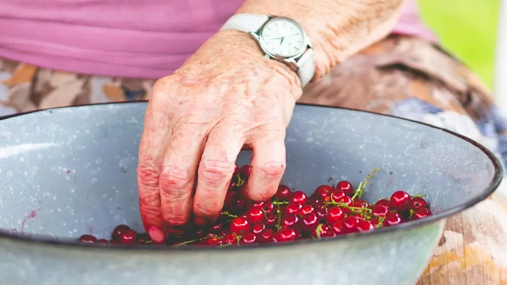 Foto: Kat Banachowicz/Unsplash